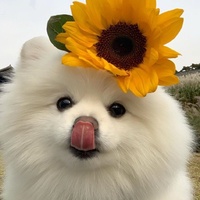 没事啵一个
